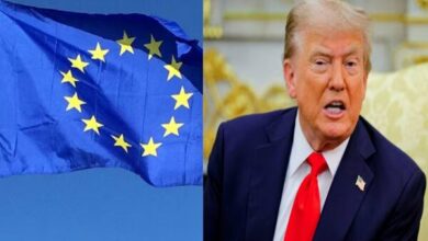 US President Expresses Dissatisfaction with European Allies Amid NATO Summit /Donald Trump , NATO , European Allies , US Troops , Ankara Summit