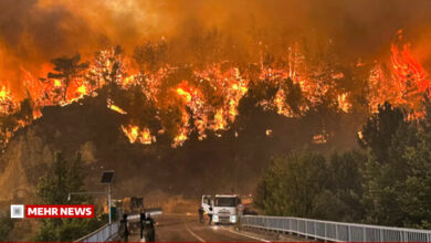 Massive Forest Fire Engulfs Southwest Turkey /Turkey , wildfire , forest fire , natural disaster , emergency response