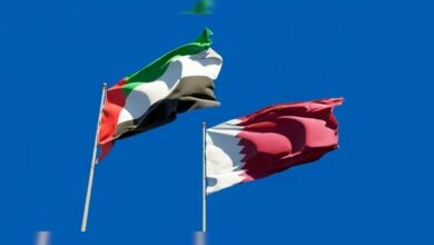 Qatar and UAE Foreign Ministers Discuss Regional De-escalation /Qatar , UAE , Regional Tensions , Strait of Hormuz , Diplomacy