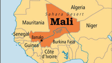 Al-Qaeda Affiliate Claims Responsibility for Attacks on Malian Army Positions /Mali , Al-Qaeda , Jama'at Nasr al-Islam wal Muslimin , terrorism , West Africa
