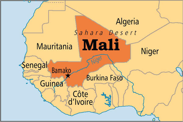 Al-Qaeda Affiliate Claims Responsibility for Attacks on Malian Army Positions /Mali , Al-Qaeda , Jama'at Nasr al-Islam wal Muslimin , terrorism , West Africa
