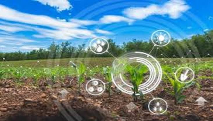 Smart Farming Revolutionizes Agriculture with Data-Driven Insights /smart farming , agriculture technology , precision agriculture , IoT in farming , sustainable agriculture