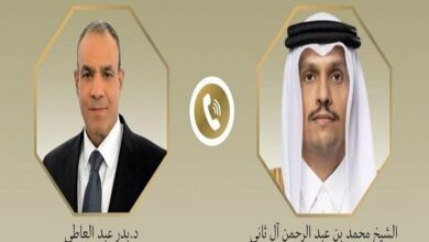 Egypt and Qatar Foreign Ministers Discuss Regional Tensions /Egypt , Qatar , Regional Tensions , Diplomacy , Middle East Security