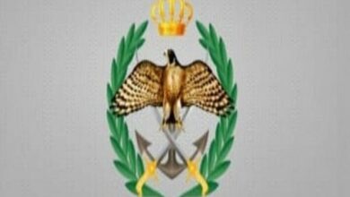Jordanian Military Confirms Interception of Missiles Allegedly Fired from Iran /Jordan , Iran , Missile Attack , Interception , Aqaba
