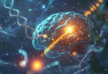 AI Advances Brain-Computer Interface Technology /Artificial Intelligence , Brain-Computer Interface , Neuroscience , Technology , Medical Innovation