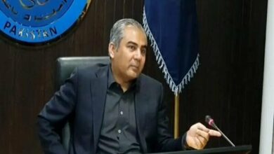 Pakistan Interior Minister Reports Productive Meeting with Iranian President on Regional Stability /Pakistan , Iran , President , Interior Minister , Regional Stability