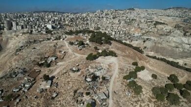 Former French and British Diplomats Urge Joint Action Against Israeli Policies /Israel , Palestine , France , United Kingdom , International Law