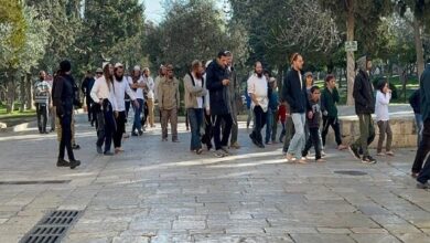 Israeli Settlers Storm Al-Aqsa Mosque Amid Increased Judaization Efforts /Al-Aqsa Mosque , Israeli settlers , Jerusalem , Occupied Territories , Palestine