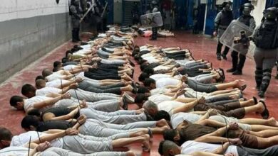 Palestinian Prisoners Face Dire Conditions in Israeli Prison /Palestinian prisoners , Israeli prisons , human rights , humanitarian conditions , Ganet prison