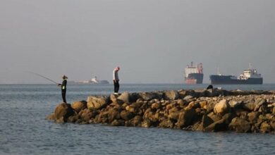 Strait of Hormuz Traffic Plummets to 84 Vessels Amid Security Concerns /Strait of Hormuz , Maritime Traffic , Shipping , Iran , United States