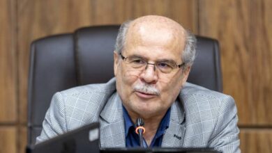 Iranian Oil Minister Emphasizes Strategic Importance of Oil Production /Iran , oil production , energy markets , economic stability , Javad Owji