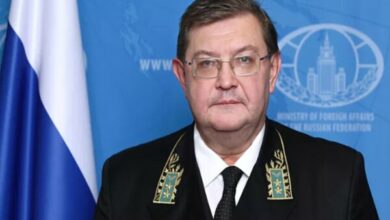 Putin Appoints New Russian Ambassador to Syria /Russia , Syria , Vladimir Putin , Dmitry Dogadkin , Ambassador Appointment