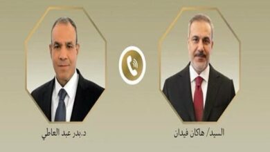 Turkish and Egyptian Foreign Ministers Discuss Bilateral Ties and Regional Stability /Turkey , Egypt , Hakan Fidan , Sameh Shoukry , Middle East