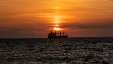 Maritime Trade Navigates Challenges Amidst Global Economic Shifts /maritime trade , shipping , global economy , logistics , commerce