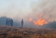 Algeria Wildfires Claim 12 Lives Amid Widespread Blaze /Algeria , wildfires , Bejaia , emergency , fatalities