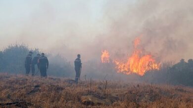 Algeria Wildfires Claim 12 Lives Amid Widespread Blaze /Algeria , wildfires , Bejaia , emergency , fatalities