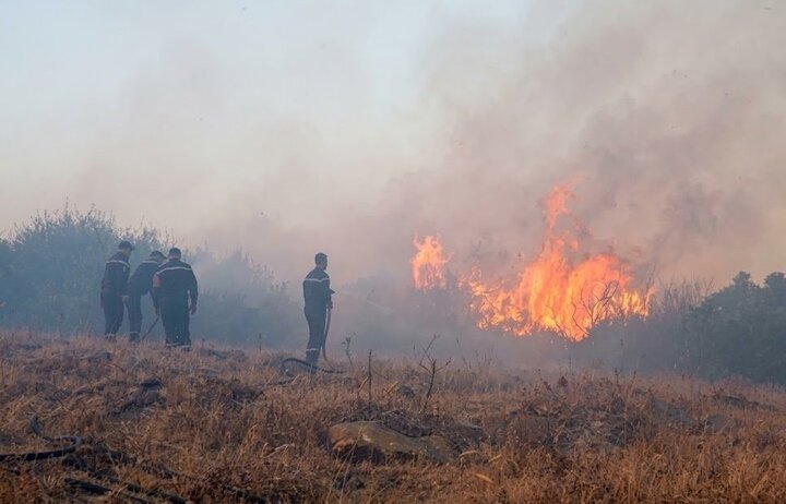 Algeria Wildfires Claim 12 Lives Amid Widespread Blaze /Algeria , wildfires , Bejaia , emergency , fatalities