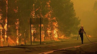 Massive Wildfire Threatens German Border, Evacuations Underway /wildfire , Germany , Belgium , evacuation , forest fire