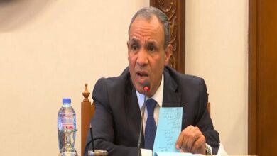 Egypt Declares Palestinian Displacement to Sinai a Red Line, Reaffirms Peace Treaty with Israel /Egypt , Palestine , Sinai , Sudan , Iran
