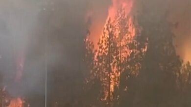 Washington State Faces Highest Evacuation Alert Amid Rapidly Spreading Wildfire /Washington wildfire , evacuation alert , Spokane , forest fire , emergency response