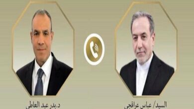 Iranian and Egyptian Foreign Ministers Discuss Regional Developments and De-escalation Efforts /Iran , Egypt , Regional Diplomacy , De-escalation , Persian Gulf Security