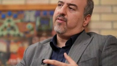 Iranian Official Highlights Economic Diplomacy with Neighboring Nations /economic diplomacy , infrastructure , transportation , regional cooperation , Iran