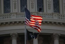 Trump Administration Purges Critics Within U.S. Intelligence Agencies /Donald Trump , U.S. Intelligence , ODNI , National Security , Iran Policy
