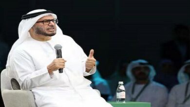 UAE Presidential Advisor: Neither War Nor Peace is a Sustainable Solution /UAE , Anwar Gargash , Persian Gulf , Strait of Hormuz , Middle East