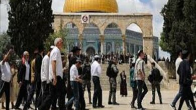 Hundreds of Israeli Settlers Storm Al-Aqsa Mosque Under Police Protection /Al-Aqsa Mosque , Israeli settlers , Religious rituals , Jerusalem , Occupied Palestinian Territories