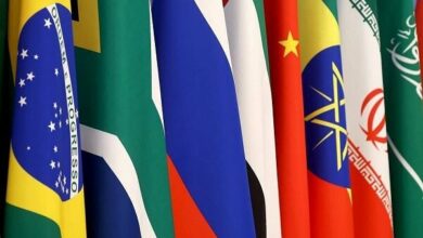 BRICS Nations Agree on Joint Statement for Delhi Summit Amid Internal Disagreements /BRICS , Delhi Summit , Joint Statement , International Relations , Persian Gulf