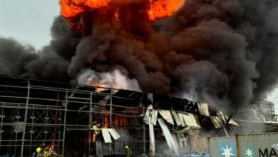 Iran Possesses Military Capability for Escalation Against US, Analyst Claims /Iran , United States , military capability , escalation , Strait of Hormuz