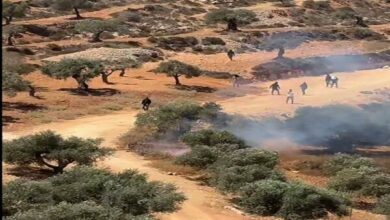 French Foreign Minister Demands EU Halt Trade with Israeli Settlers, Cites Shameful Violence /France , European Union , Israel , Palestine , West Bank