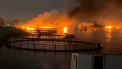 US Official Confirms Ongoing Attacks Against Iran; Military Responds /United States , Iran , Donald Trump , military , attacks