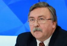 Russia Condemns Austria's Visa Revocation for Iranian Atomic Energy Chief /Iran , Austria , Russia , IAEA , Nuclear Sanctions