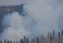 US Helicopter Crash Kills Two Firefighters in Yosemite National Park /US helicopter crash , Yosemite National Park , wildfire fighting , emergency services , aviation accident