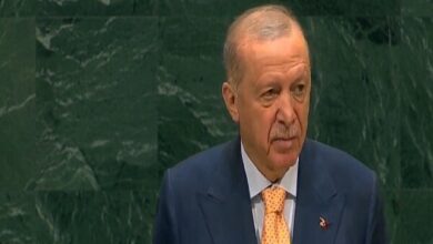 Erdogan Declares Gaza World's Largest Child Cemetery Amid UN Address /Erdogan , Gaza , UN , Palestine , Israel