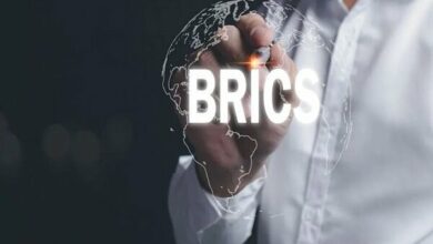 New Development Bank Hailed as Key BRICS Achievement by Brazilian Expert /BRICS , New Development Bank , Lucas Henrique Rocha , digital payment infrastructure , international cooperation