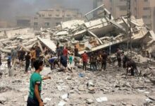 WHO Warns of Escalating Water Contamination and Disease Outbreak Risk in Gaza /Gaza , WHO , water contamination , infectious diseases , humanitarian crisis