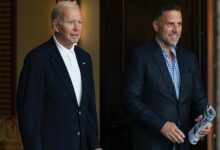 Hunter Biden Hints at Presidential Run, Pledges to Represent Addicts /Hunter Biden , Joe Biden , US Presidential Election , Addiction , Politics