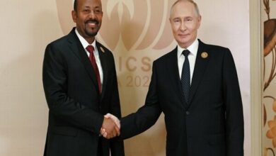 Putin Praises Ethiopia's Constructive Role in BRICS /Vladimir Putin , Ethiopia , BRICS , Russia , economic cooperation