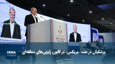 Iran's Health Minister Emphasizes BRICS Role in Regional Economic Consultations /BRICS , Iran , India , economic forum , regional cooperation