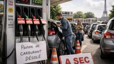 French Drivers Turn to Rapeseed Oil as Diesel Prices Soar /diesel prices , France , alternative fuel , rapeseed oil , vehicle maintenance