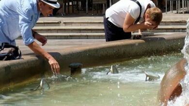 Spain Records Over 5,000 Heat-Related Deaths in Record Summer /heatwave , Spain , public health , mortality , climate change