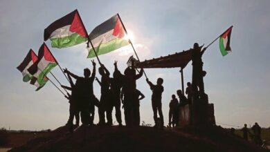 Mass Rallies in Scotland and Germany Voice Support for Palestinian People /Palestine , Scotland , Germany , Protests , Solidarity