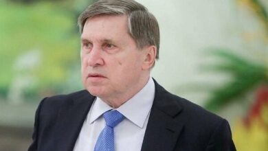 Kremlin Denies Reports of Putin Refusing Meeting with CIA Director /Russia , CIA , Vladimir Putin , John Ratcliffe , Kremlin