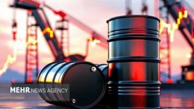 Global Oil Prices Surge Past $100 as Tensions Rise in the Red Sea /oil prices , Brent crude , WTI , Red Sea , Bab el-Mandeb