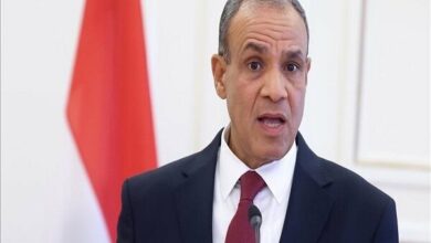 Egypt Warns Against Forced Palestinian Displacement, Demands Israeli Action on Gaza /Egypt , Gaza , Israel , Palestine , settlements
