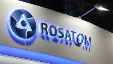 Russia to Increase Bushehr Nuclear Power Plant Specialists to 150 /Russia , Iran , Bushehr Nuclear Power Plant , Rosatom , Zaporizhzhia Nuclear Power Plant