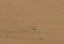 Yemeni Armed Forces Launch Operation in Southern Marib /Yemen , Marib , Armed Forces , Saudi Mercenaries , Military Operation