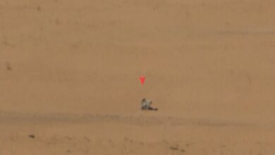 Yemeni Armed Forces Launch Operation in Southern Marib /Yemen , Marib , Armed Forces , Saudi Mercenaries , Military Operation